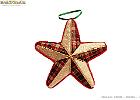 Stelle