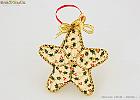 Natale 2010 - Stelle - 04