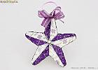 Natale 2010 - Stelle - 06