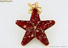 Natale 2010 - Stelle - 09
